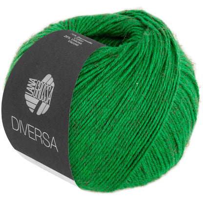 Пряжа Lana Grossa DIVERSA